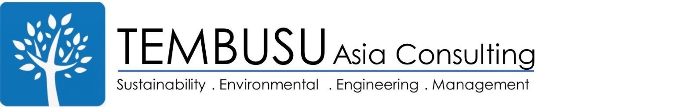 Tembusu Asia Consulting Pte Ltd